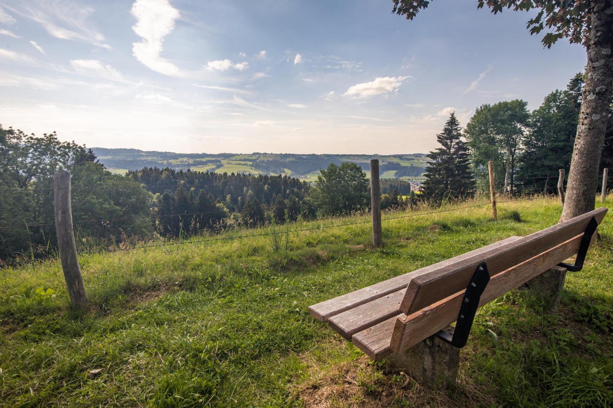 Allgaeu-Glueck Gruenenbach Grunenbach Dış mekan fotoğraf