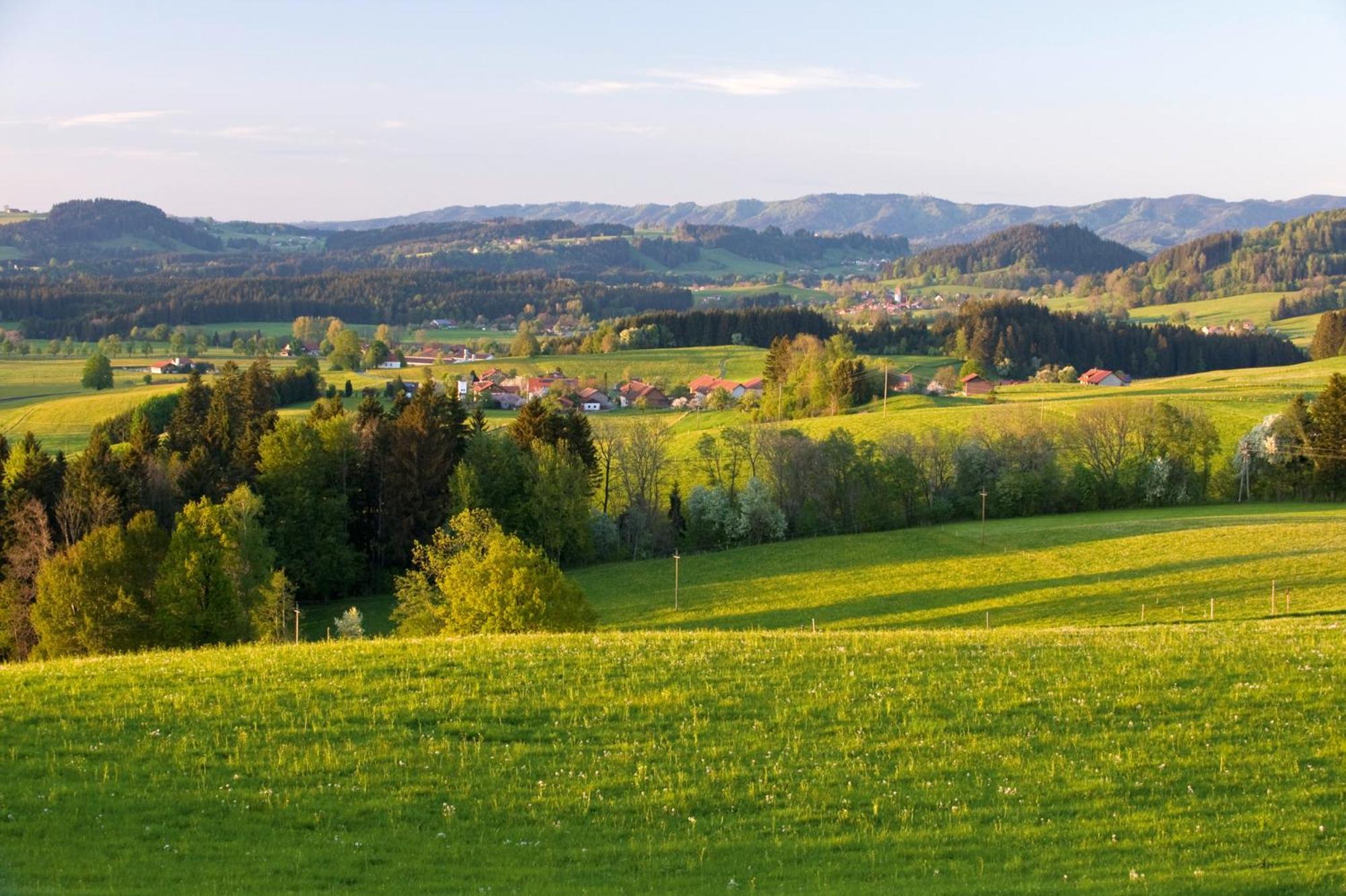 Allgaeu-Glueck Gruenenbach Grunenbach Dış mekan fotoğraf